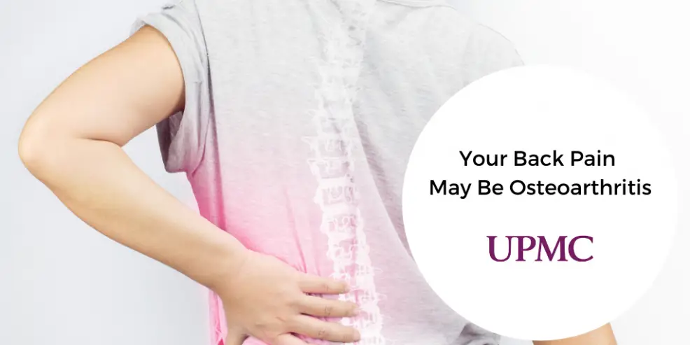 Your Back Pain May Be OsteoarthritisYour Back Pain May Be ...